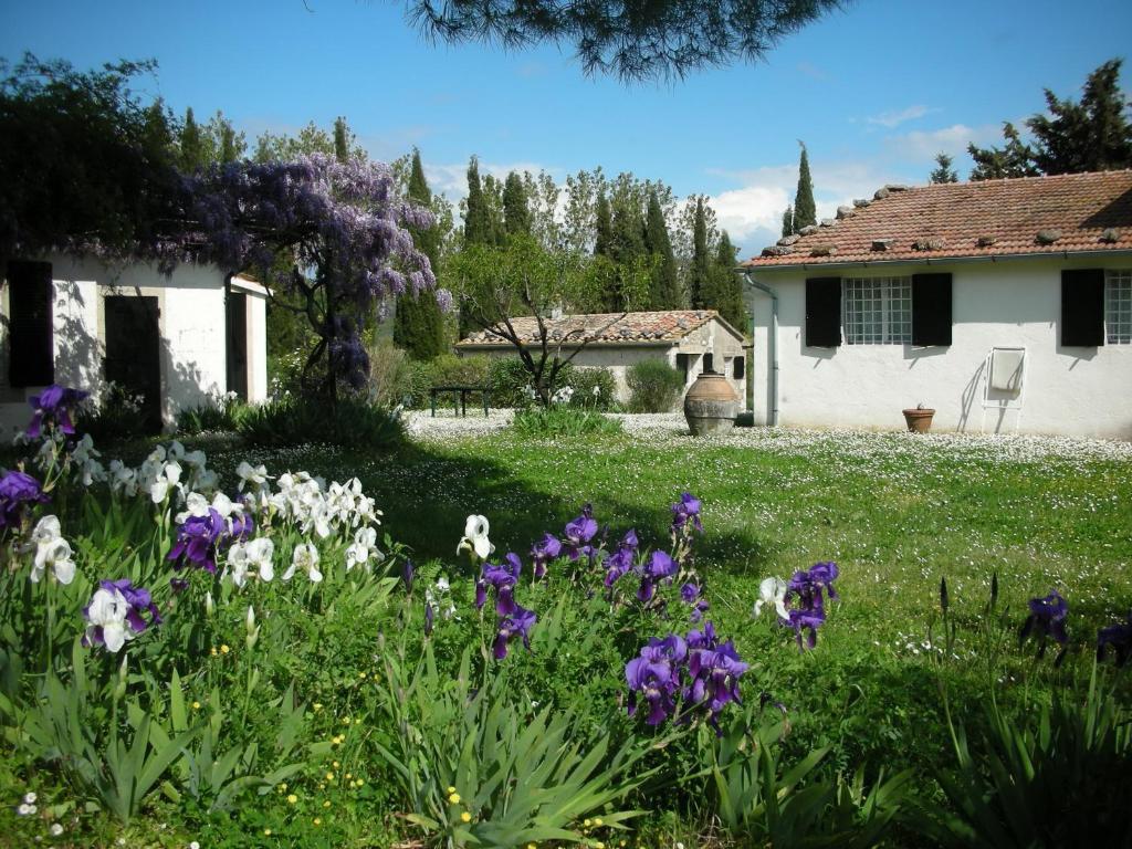Vignagrande Agriturismo サトゥルニア 部屋 写真